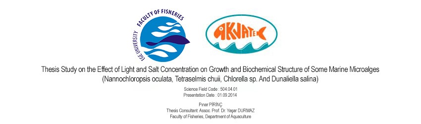 Read more about the article Thesis Study on the Effect of Light and Salt Concentration on Growth and Biochemical Structure of Some Marine Microalges (Nannochloropsis oculata, Tetraselmis chuii, Chlorella sp. And Dunaliella salina)